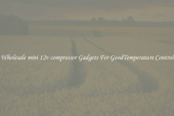 Wholesale mini 12v compressor Gadgets For GoodTemperature Control