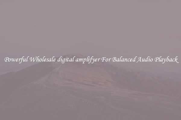 Powerful Wholesale digital amplifyer For Balanced Audio Playback