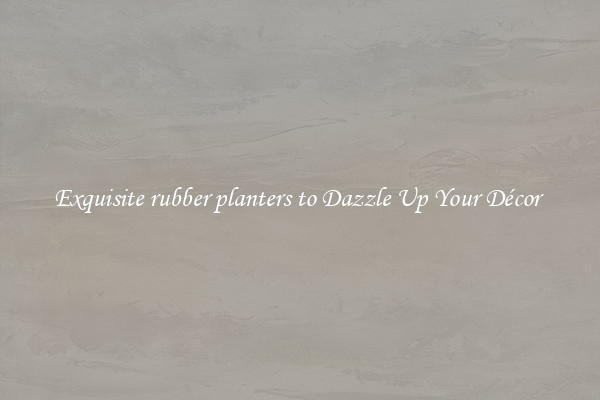 Exquisite rubber planters to Dazzle Up Your Décor 