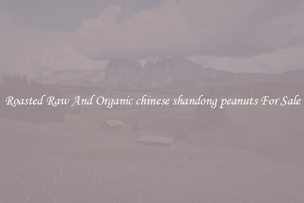 Roasted Raw And Organic chinese shandong peanuts For Sale