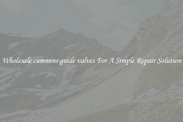 Wholesale cummins guide valves For A Simple Repair Solution