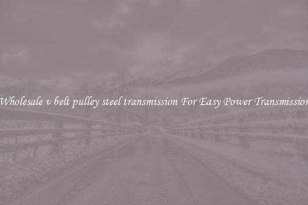 Wholesale v belt pulley steel transmission For Easy Power Transmission