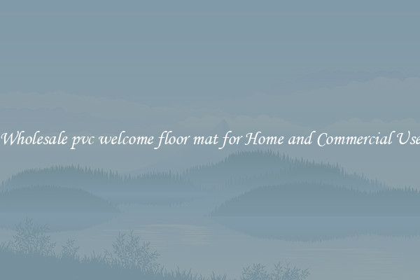 Wholesale pvc welcome floor mat for Home and Commercial Use