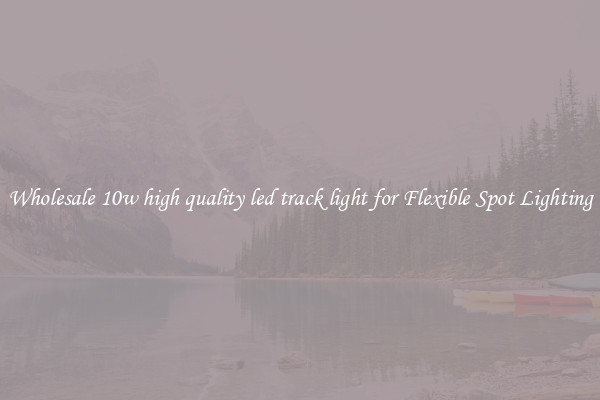 Wholesale 10w high quality led track light for Flexible Spot Lighting