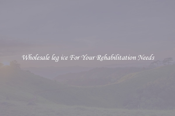 Wholesale leg ice For Your Rehabilitation Needs