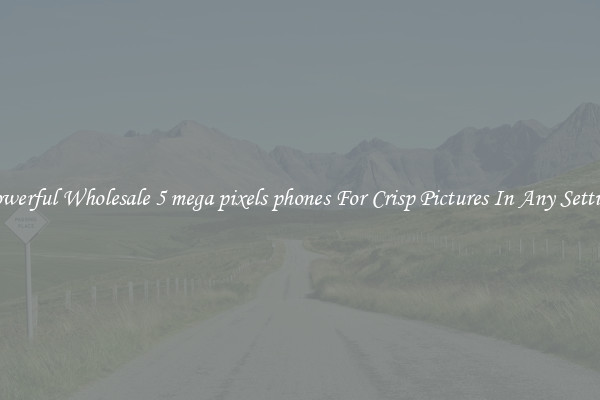 Powerful Wholesale 5 mega pixels phones For Crisp Pictures In Any Setting