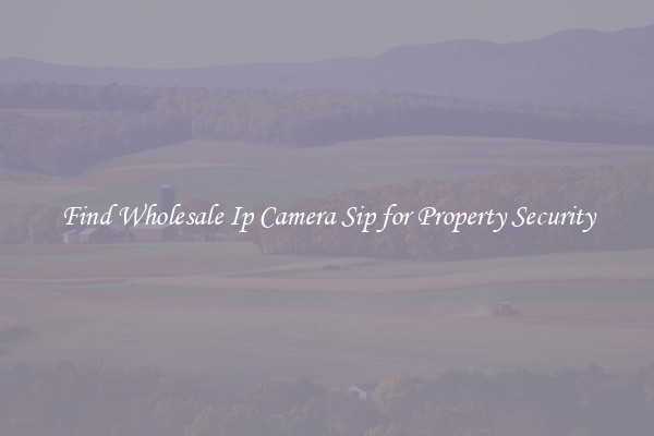 Find Wholesale Ip Camera Sip for Property Security